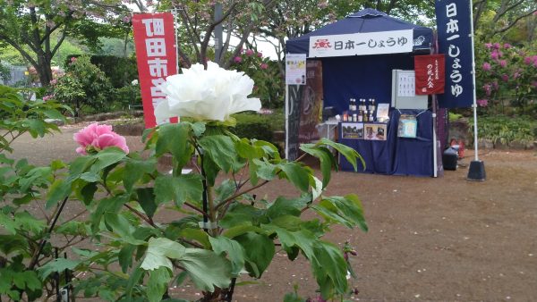 4月26日(土)【町田薬師池公園 四季彩の杜 ぼたん園（町田ぼたん園）】販売会出店